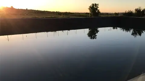 AGRICULTURA Y MEDIO AMBIENTE AGRICULTURA Y MEDIO AMBIENTE