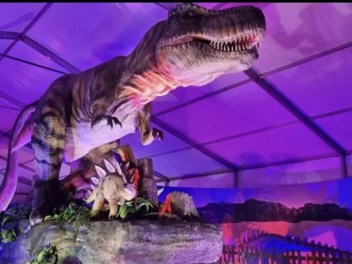 Dinosaurios animatrónicos toman el CC L'Aljub del 13 al 29 de mayo | Onda  Cero Radio