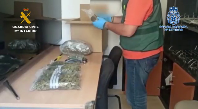 Ingresan en prisión los cabecillas del grupo que vendía droga al menudeo en la provincia de Alicante Ingresan en prisión los cabecillas del grupo que vendía droga al menudeo en la provincia de Alicante