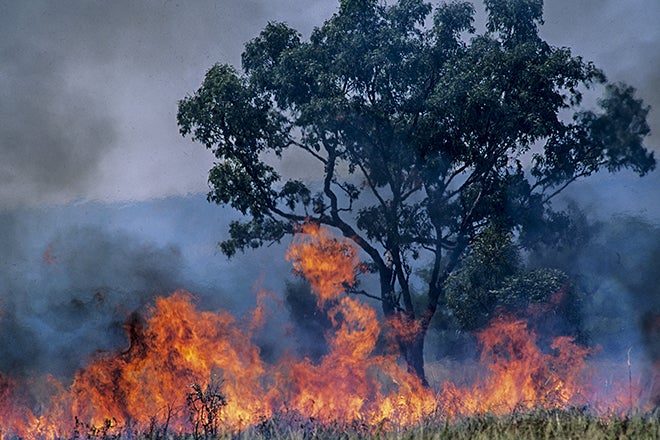 El prevenir los grandes incendios forestales está en la mano de todos El prevenir los grandes incendios forestales está en la mano de todos