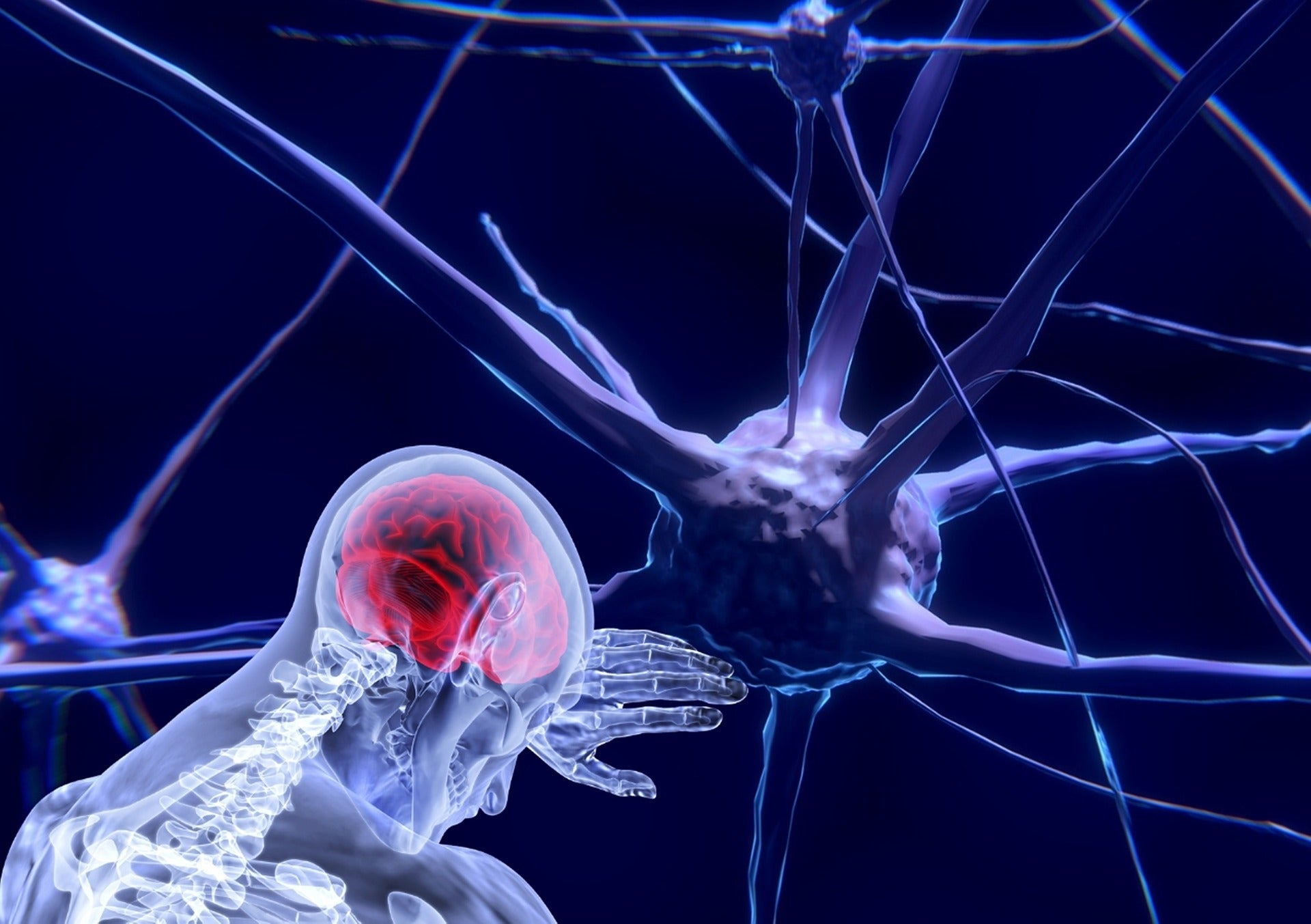 Avances en los tratamientos de Alzheimer, ictus y esclerosis múltiple, a debate Avances en los tratamientos de Alzheimer, ictus y esclerosis múltiple, a debate