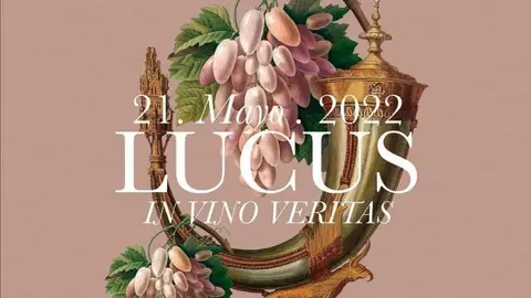 Lucus In Vino Veritas 2022 Se Nos Va la Olla con Mercedes González