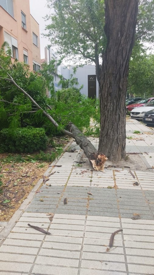 Cazan a un conductor bebido que huyó a la carrera tras un accidente en Ciudad Real Cazan a un conductor bebido que huyó a la carrera tras un accidente en Ciudad Real
