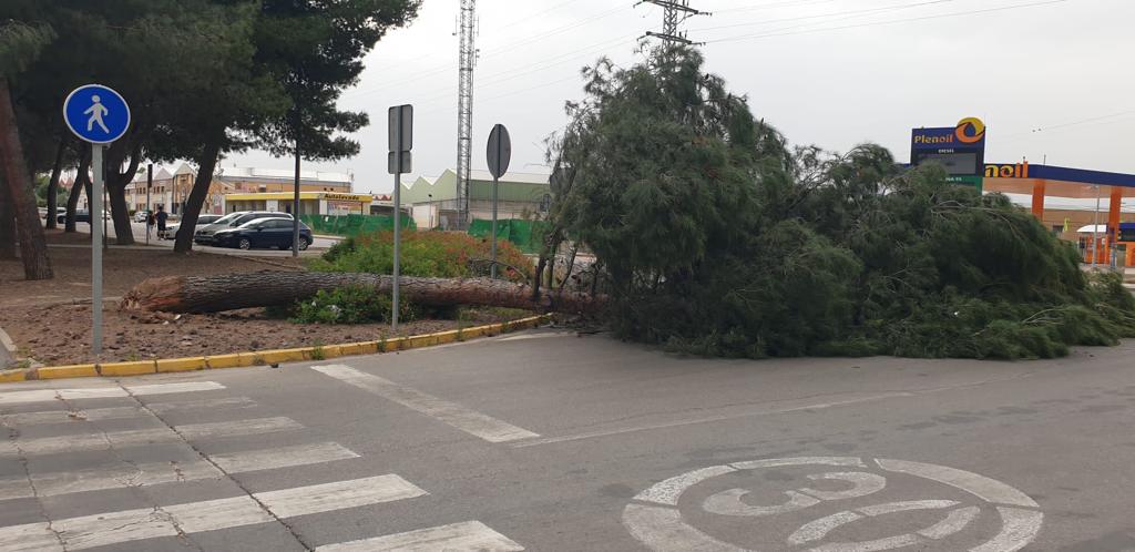 El fuerte viento dejó ayer una docena de incidencias importantes en Ciudad Real El fuerte viento dejó ayer una docena de incidencias importantes en Ciudad Real