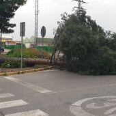 Árbol caído en Ciudad Real debido al viento