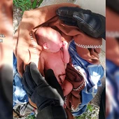 La Guardia Civil rescata en San Isidro a un recién nacido abandonado por su madre justo después de dar a luz La Guardia Civil rescata en San Isidro a un recién nacido abandonado por su madre justo después de dar a luz