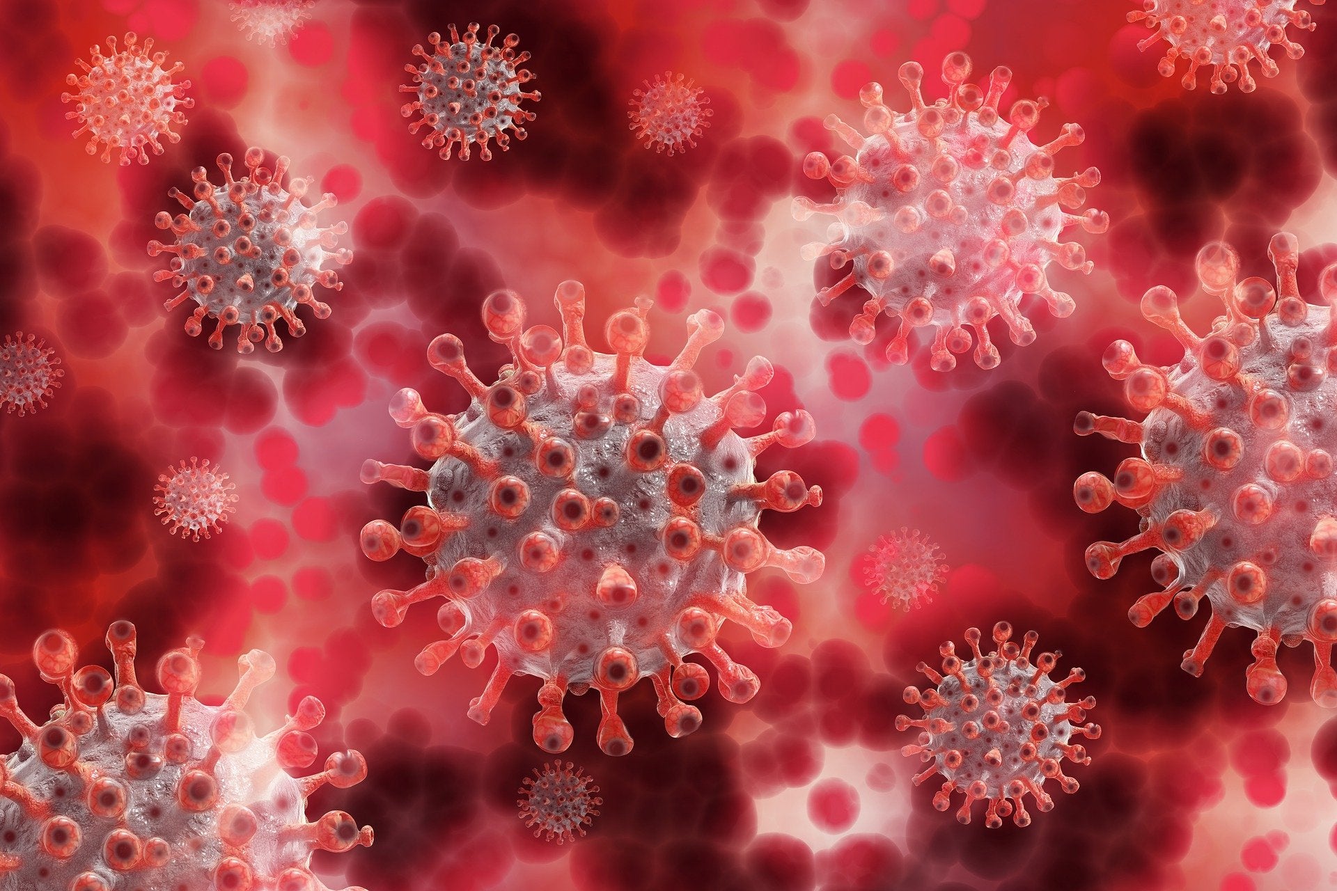 Los síntomas del Herpes Zóster: de dónde viene la infección y posibles complicaciones Los síntomas del Herpes Zóster: de dónde viene la infección y posibles complicaciones