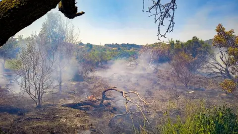 Bomberos trabajan en la extinción de un incendio con cuatro focos entre Segorbe, Jérica y Navajas