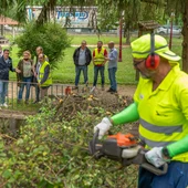 O Concello inicia un plan de mellora de parques urbanos da cidade O Concello inicia un plan de mellora de parques urbanos da cidade