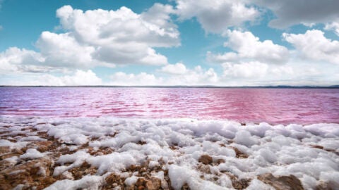 Ociomar Torrevieja presenta excursiones premium a las Salinas