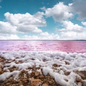 Ociomar Torrevieja presenta excursiones premium a las Salinas