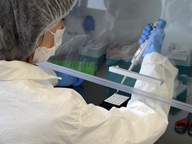 Certest Biotec desarrolla el test para la viruela del mono Certest Biotec desarrolla el test para la viruela del mono