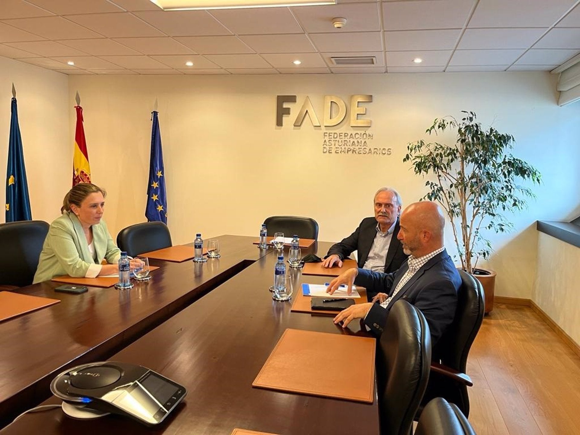 Exploraciones Minera del Cantábrico se plantea ingresar en FADE Exploraciones Minera del Cantábrico se plantea ingresar en FADE