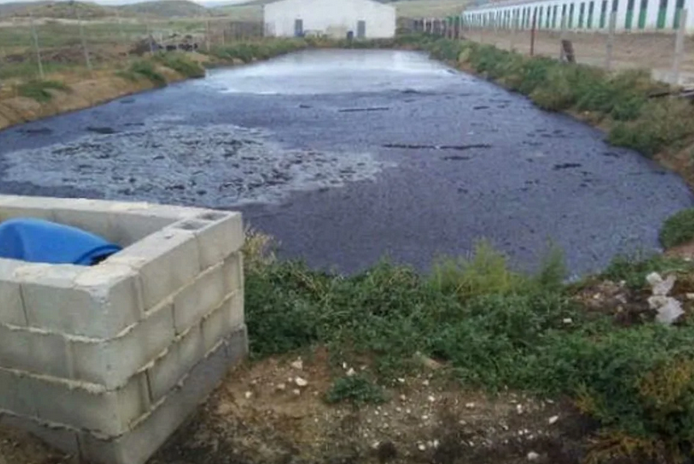 El MITECO publica el mapa de aguas afectadas por contaminación por nitratos procedentes de fuentes agrarias El MITECO publica el mapa de aguas afectadas por contaminación por nitratos procedentes de fuentes agrarias