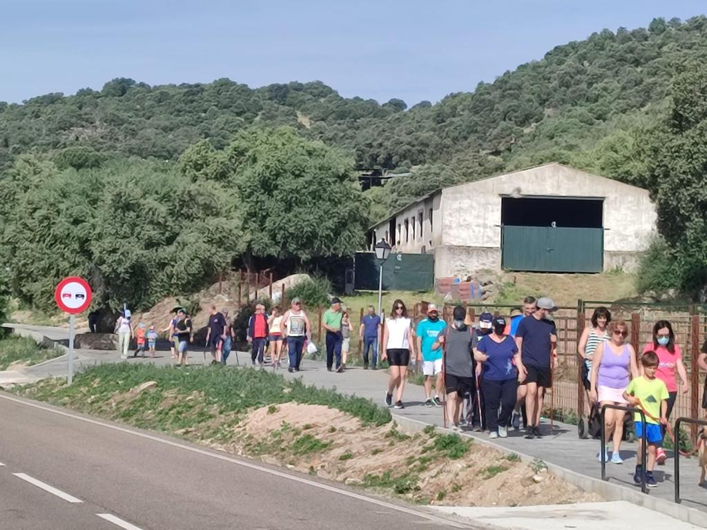 Pepino da 7.000 pasos por una vida saludable Pepino da 7.000 pasos por una vida saludable