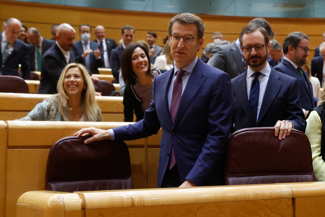 Feijóo toma posesión de su escaño en el Senado para hacer frente a Pedro Sánchez Feijóo toma posesión de su escaño en el Senado para hacer frente a Pedro Sánchez