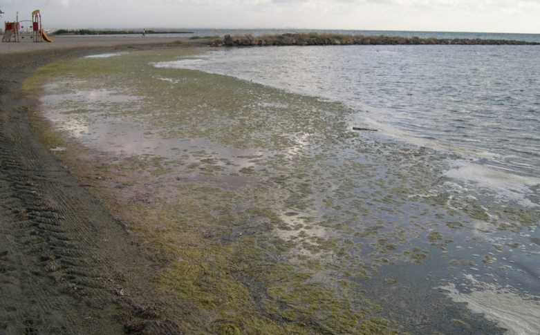 Hostecar alerta de la falta de reservas para este verano en el Mar Menor Hostecar alerta de la falta de reservas para este verano en el Mar Menor