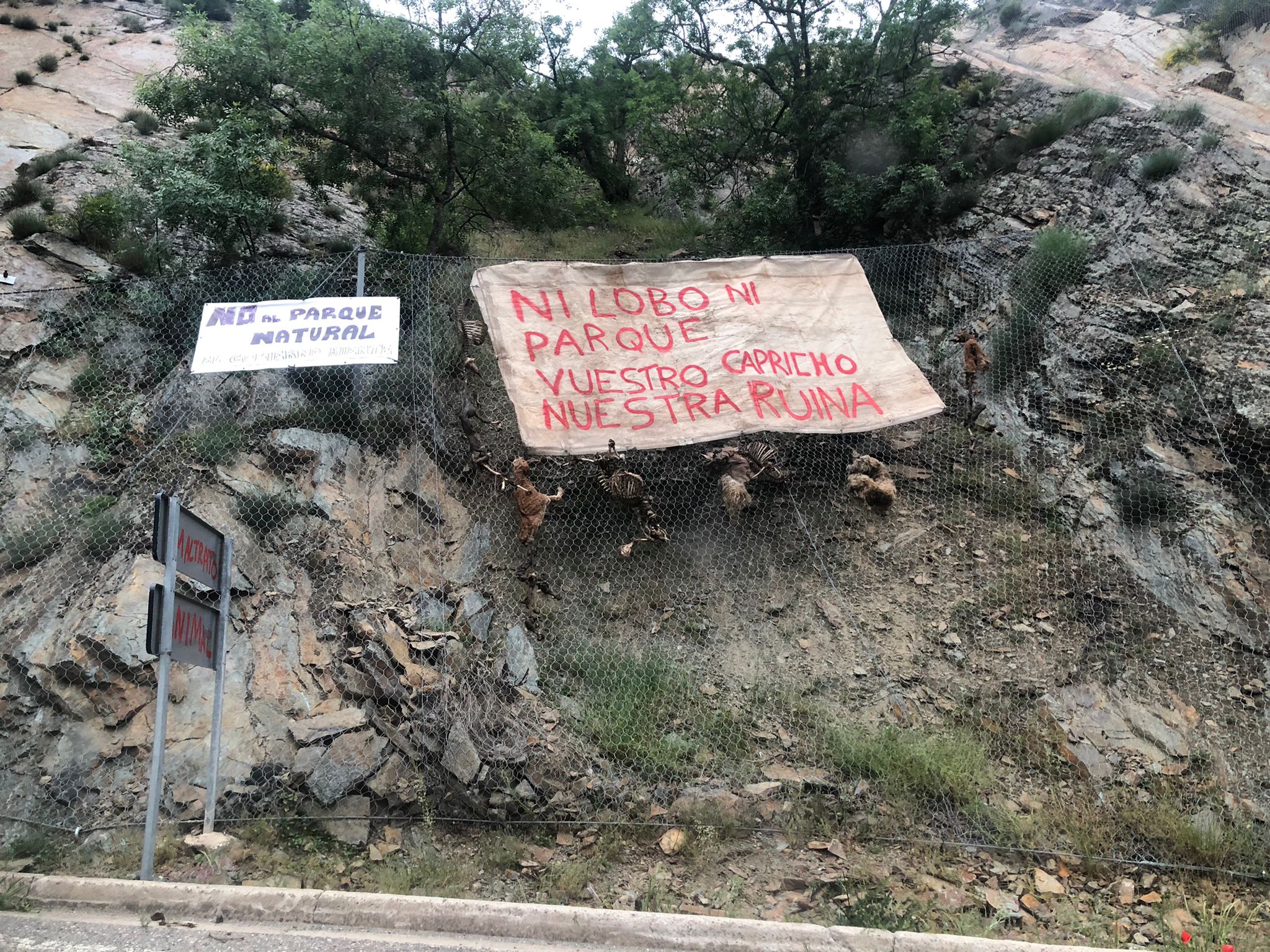 60 árboles talados cortan las carreteras del Najerilla en protesta por la iniciativa del Gobierno 60 árboles talados cortan las carreteras del Najerilla en protesta por la iniciativa del Gobierno