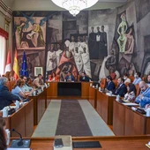 Pleno de la Diputación de Ciudad Real Pleno de la Diputación de Ciudad Real