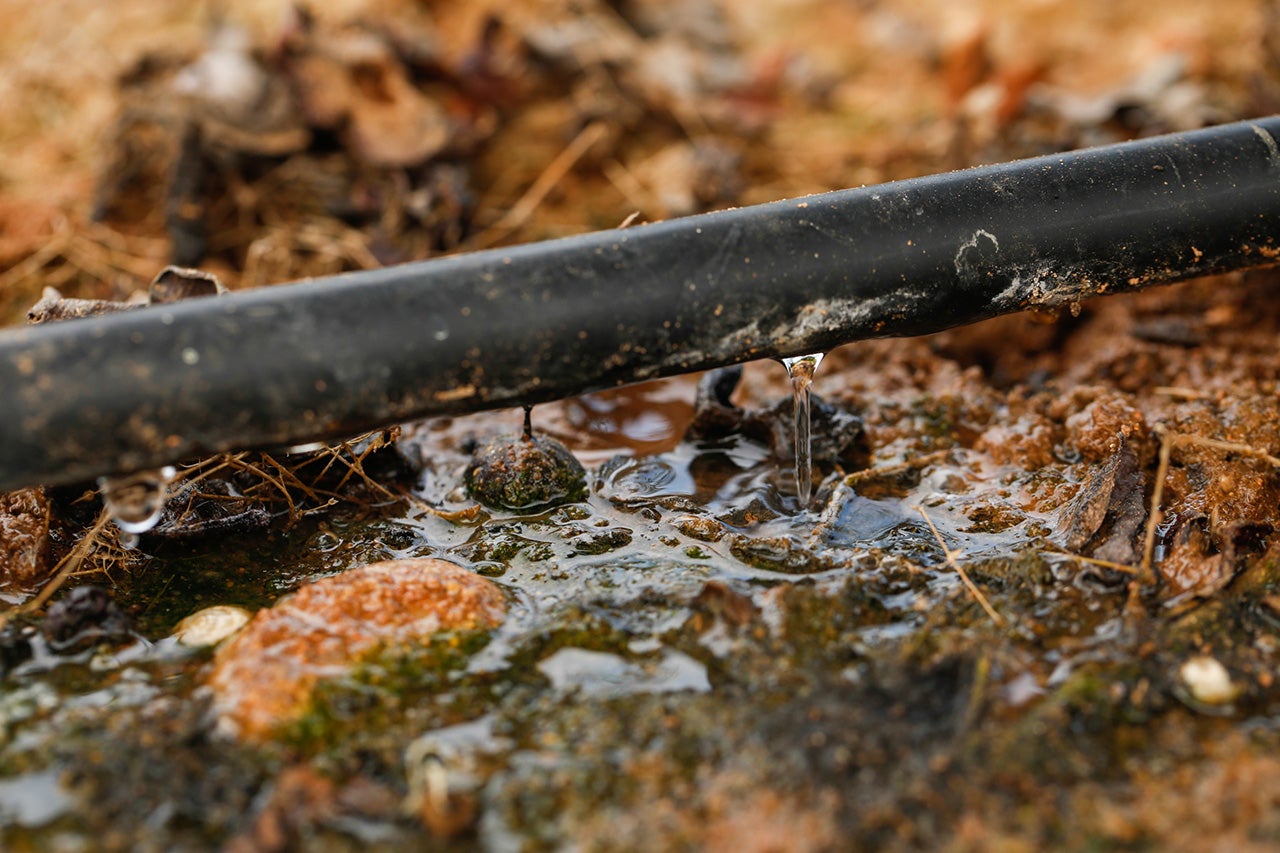 La Acequia Real del Júcar pide a la Generalitat subvenciones para las obras de modernización de regadíos La Acequia Real del Júcar pide a la Generalitat subvenciones para las obras de modernización de regadíos