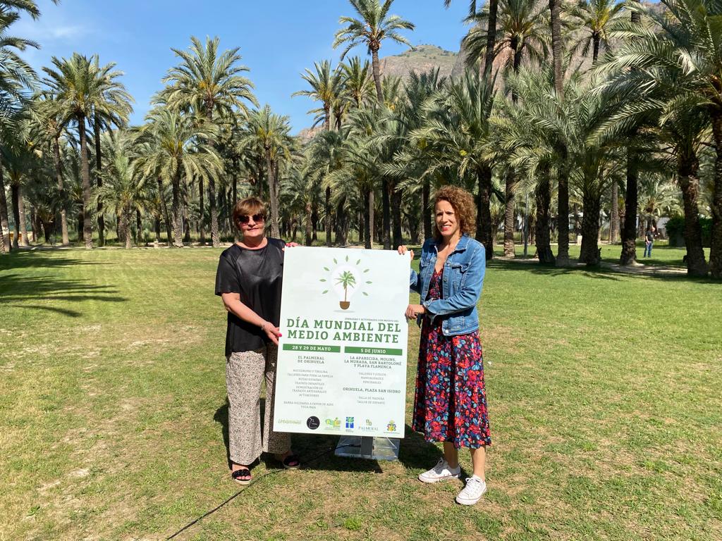 El Palmeral de Orihuela acoge este fin de semana actividades para todas las edades El Palmeral de Orihuela acoge este fin de semana actividades para todas las edades