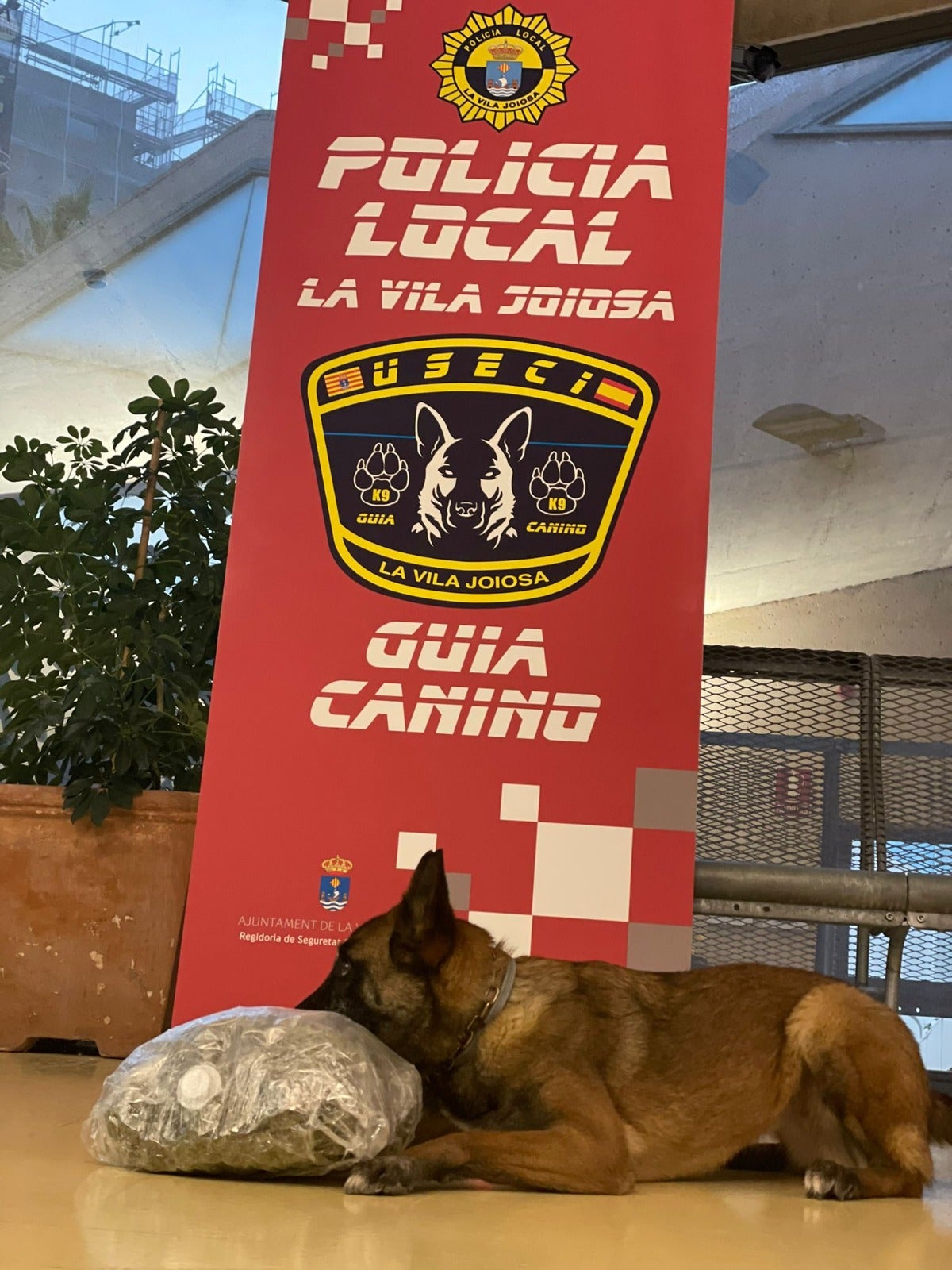 La Policía Local de la Vila Joiosa detiene a un presunto traficante de drogas en el TRAM La Policía Local de la Vila Joiosa detiene a un presunto traficante de drogas en el TRAM