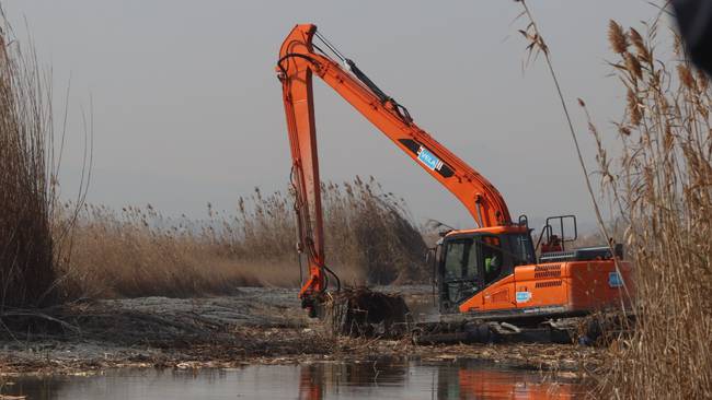 València licita la mayor operación de dragado de la última década en los canales de La Albufera València licita la mayor operación de dragado de la última década en los canales de La Albufera