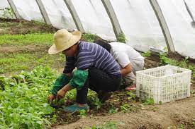 El paro baja en todos los sectores productivos El paro baja en todos los sectores productivos