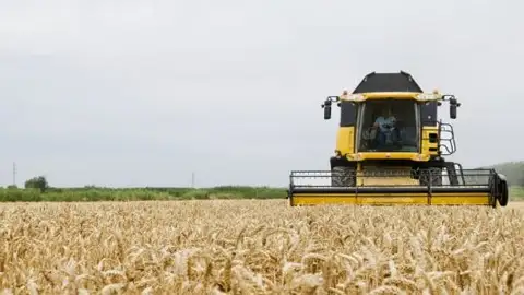 La cosecha del cereal de invierno se podría reducir en un 25%