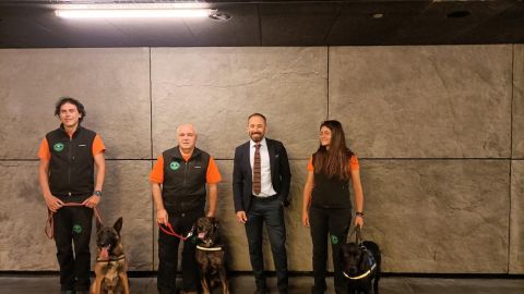 Grupo de Perrosde Salvamento