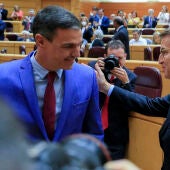 El presidente del gobierno Pedro Sánchez, y el líder del PP Alberto Nuñez Feijóo, durante la sesión de control este martes en la Cámara Alta en Madrid.