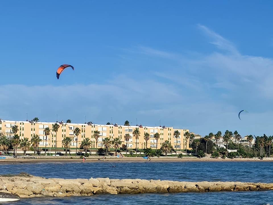 Puerto Real inicia la implantación del 'quinto contenedor' de basuras orgánicas Puerto Real inicia la implantación del 'quinto contenedor' de basuras orgánicas