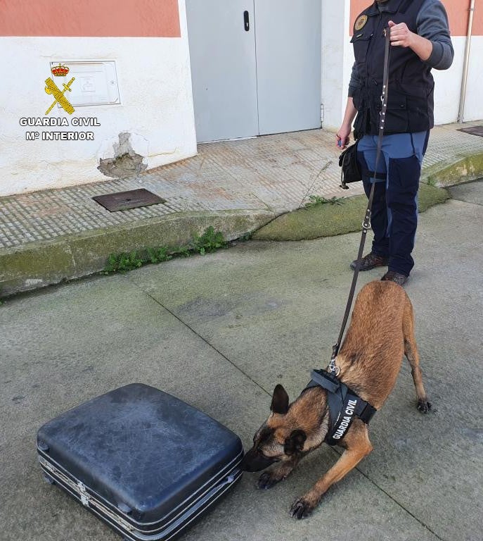Detenido un hombre por intentar introducir droga en la prisiónde Albocàsser Detenido un hombre por intentar introducir droga en la prisiónde Albocàsser