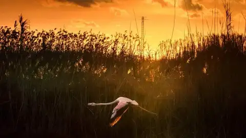 ONDA CERO ALMERIA ONDA CERO ALMERIA