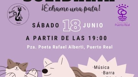 Cartel de la velada solidaria