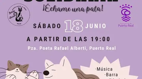 Cartel de la velada solidaria Cartel de la velada solidaria