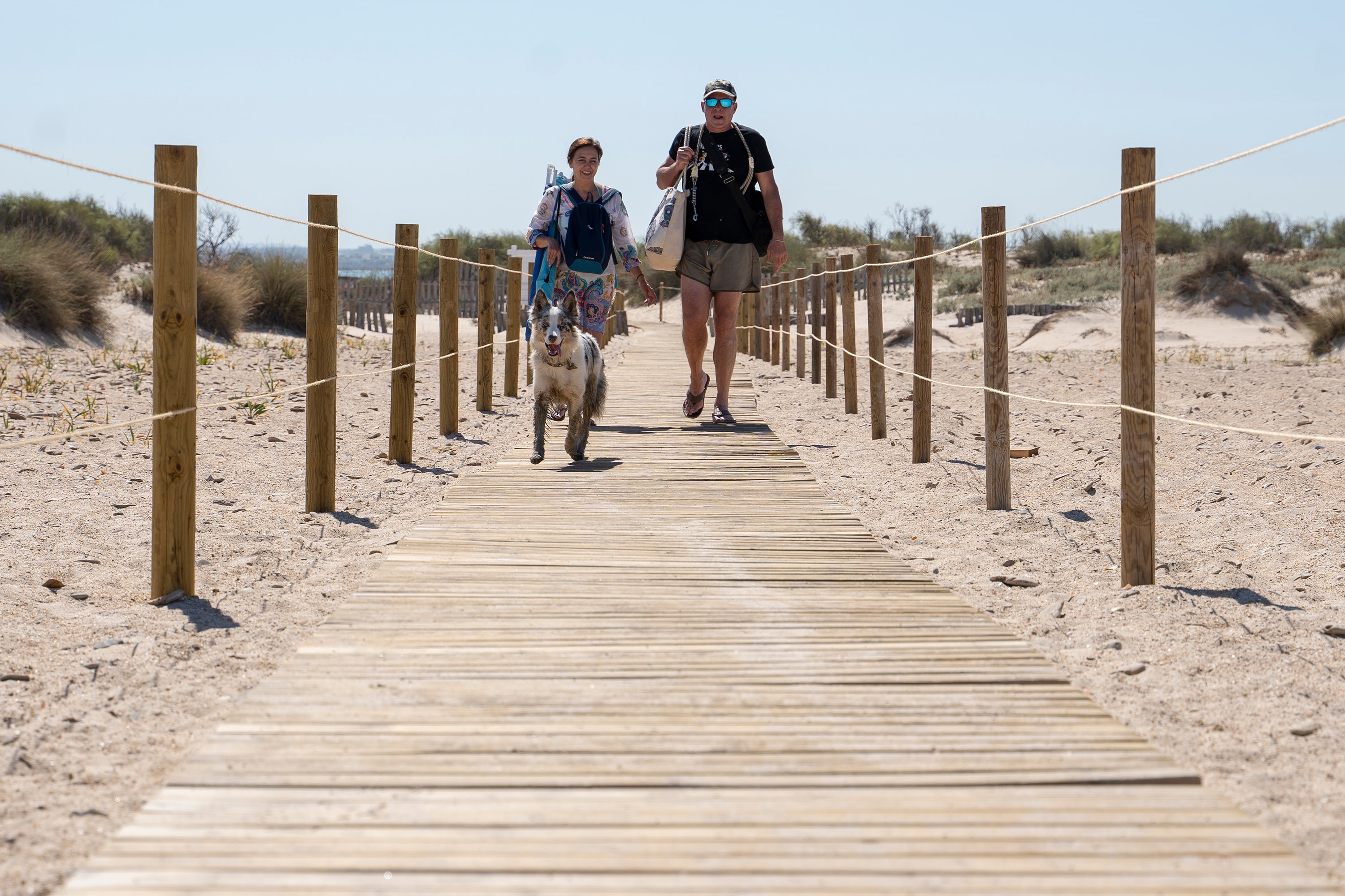 Camposoto estrena nuevas pasarelas de madera para acceder a la playa canina Camposoto estrena nuevas pasarelas de madera para acceder a la playa canina