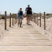 Una de las nuevas pasarelas caninas de la playa de Camposoto Una de las nuevas pasarelas caninas de la playa de Camposoto