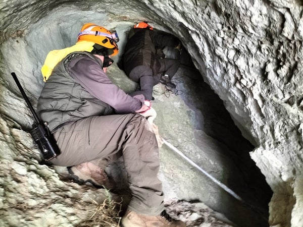 La Junta confirma que la osa atacada por un oso en la Montaña Palentina sigue con vida La Junta confirma que la osa atacada por un oso en la Montaña Palentina sigue con vida