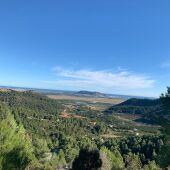 LLaurí