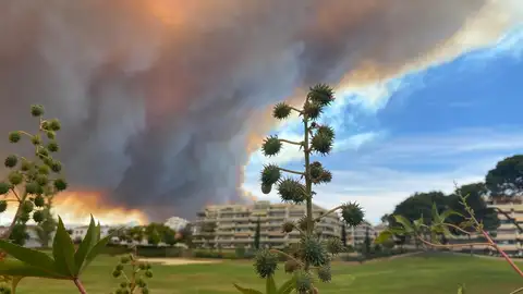 Incendio Pujerra Incendio Pujerra