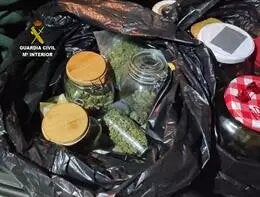 Dos detenidos y un investigado en Corvera por cultivar y traficar con drogas Dos detenidos y un investigado en Corvera por cultivar y traficar con drogas