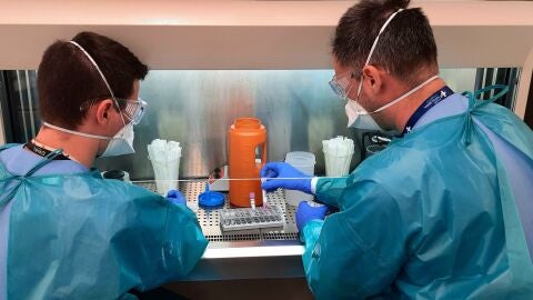 T&eacute;cnicos del Servicio de Microbiolog&iacute;a procesan una muestra en el laboratorio de bioseguridad de nivel 3