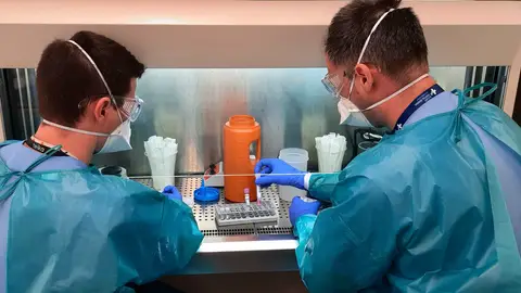 Técnicos del Servicio de Microbiología procesan una muestra en el laboratorio de bioseguridad de nivel 3