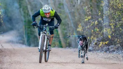 Mushing Mushing
