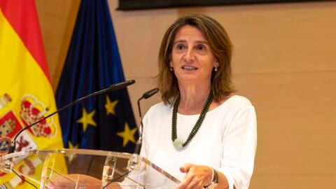 La vicepresidenta y ministra para la Transici&oacute;n Ecol&oacute;gica y el Reto Demogr&aacute;fico, Teresa Ribera, en la entrega de los Premios Nacionales de Energ&iacute;a y Medioambiente 2021