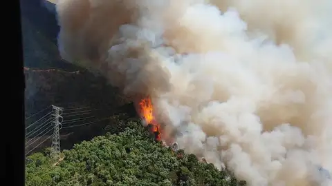 Estabilizado el incendio forestal en Pujerra