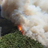 Estabilizado el incendio forestal en Pujerra Estabilizado el incendio forestal en Pujerra