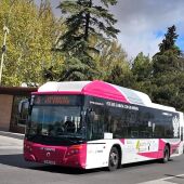 Toledo habilita un servicio especial de autobuses por el Corpus Christi