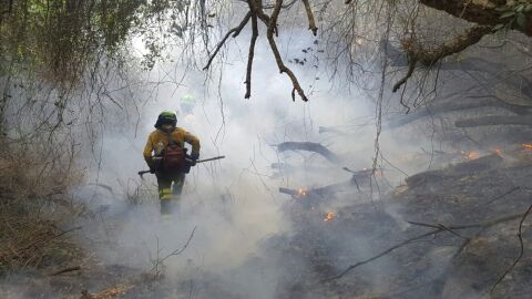 El incendio se ha llevado por delante ya m&aacute;s de 2.000 hect&aacute;reas de terreno